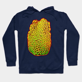 Peacock coat Hoodie